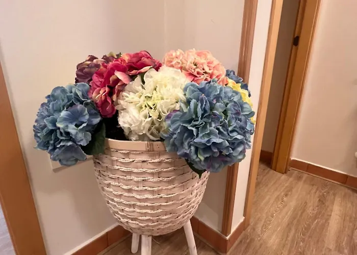 Cambaral 1e * לוארקה