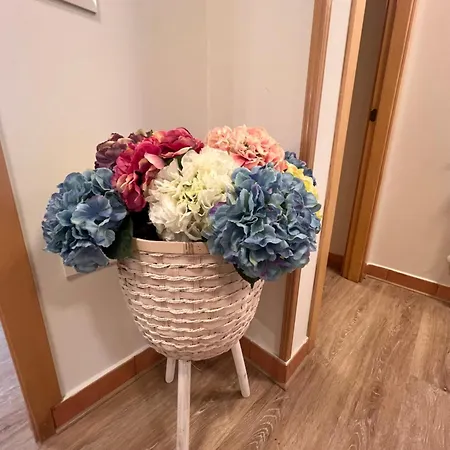 Cambaral 1e * Luarca